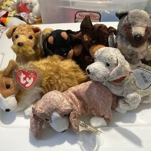 Beanie babies puppy dogs set of 11